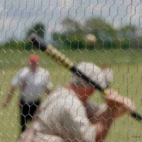 Diane-Burgett-Rippavilla-Vintage-Baseball-outing-2