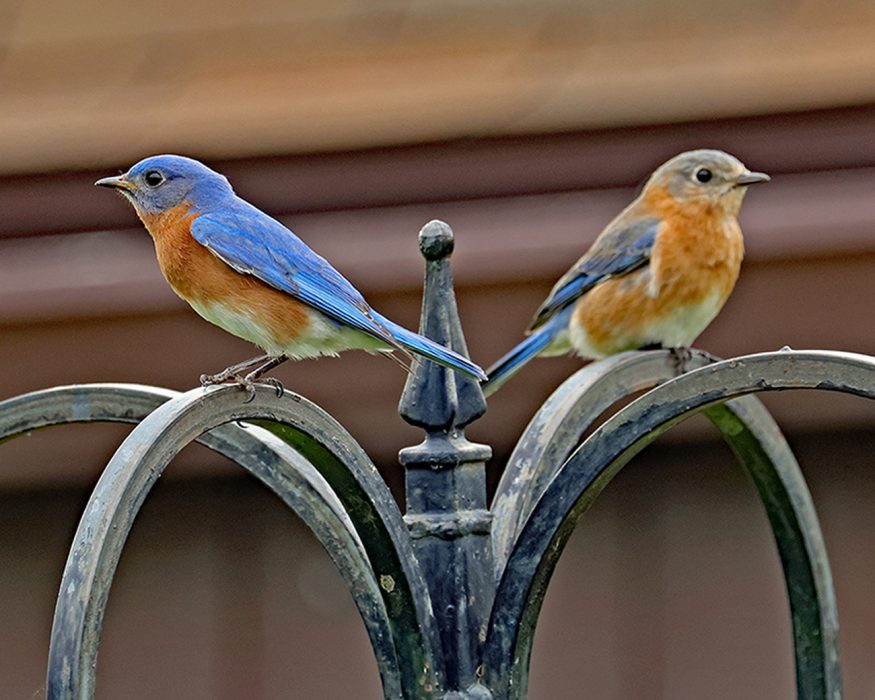 Doug-Almy-Open-1st-Place-April 2025