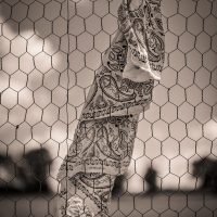 Duane-Miller-Vintage-Baseball-Outing-3