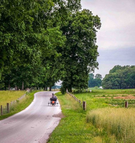 Ed Batsel - Open (2nd Place)