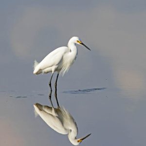 Member spotlight Gina Fitzhugh