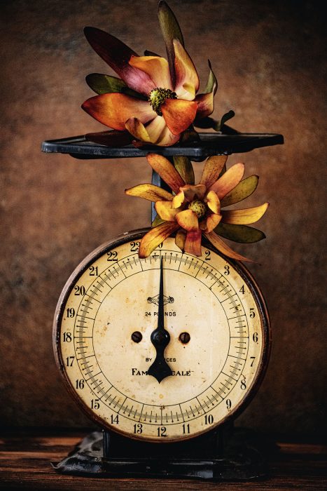 Jennifer Laverty - Open - 2nd Place - April 2026 - POTM