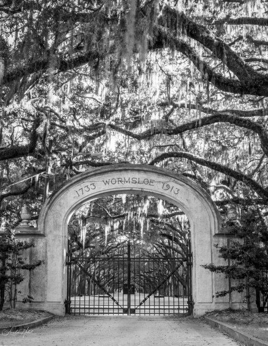 Leandra-Habel-Gates-1st-Place-June 2025