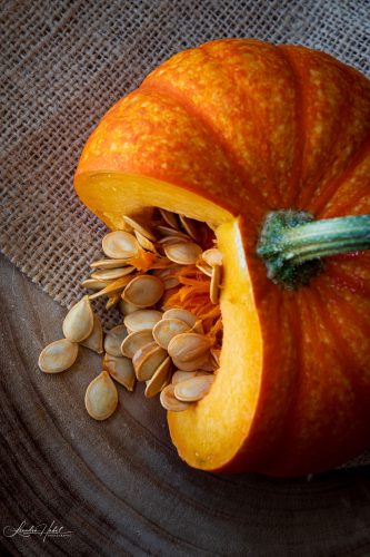 Leandra Habel - food - 2nd Place - October 2026 - POTM
