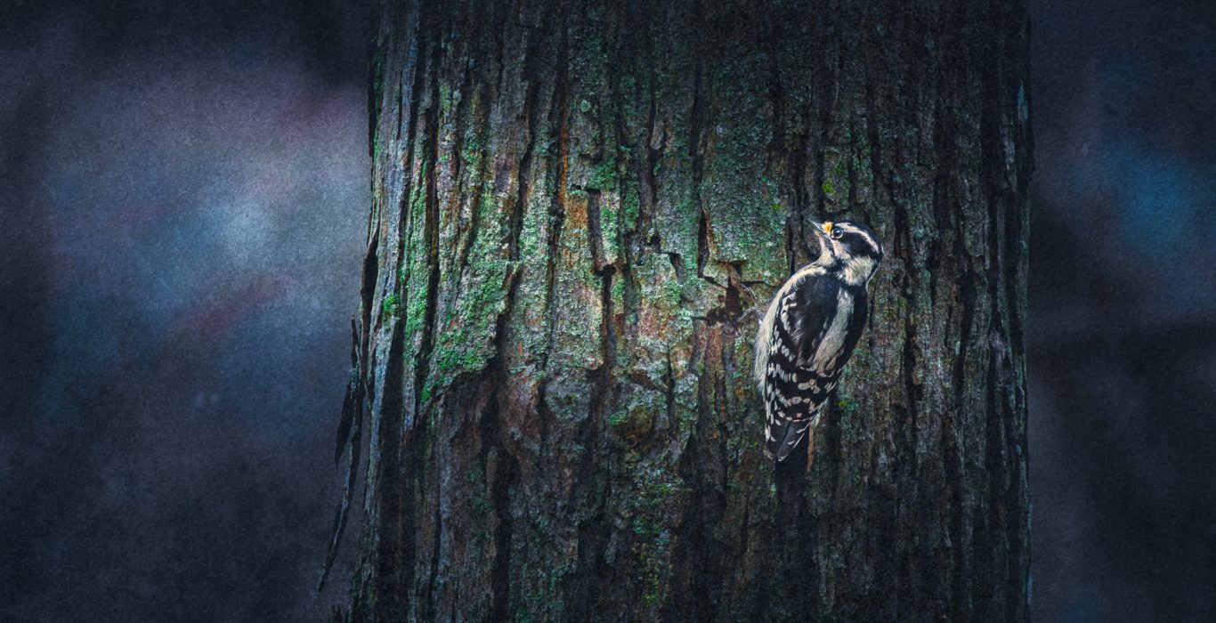 Martin-Cregg-Textures-1st-Place-September