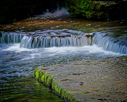 Rick-Borchert-Old-Stone-Fort-Outing-3 April 2024