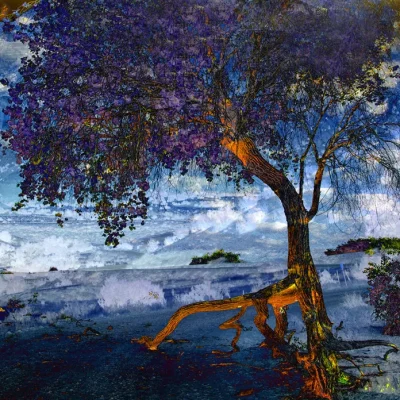 Susan Ruach - Creative Image