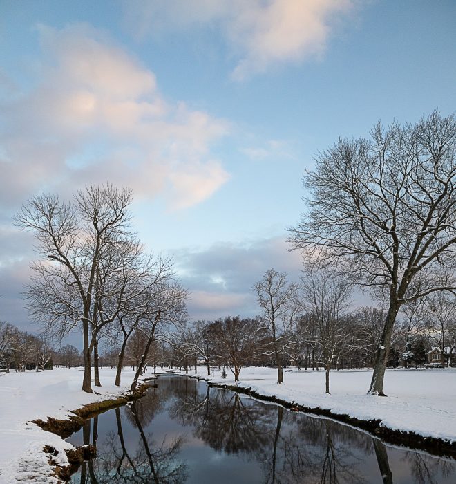 Tamilyn-Derryberry-Open-1st-Place-February 2025